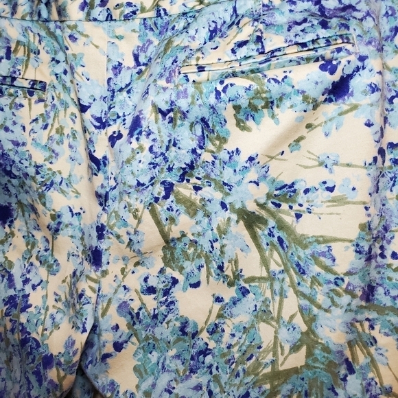 Talbots Blue Beige Floral Ankle Dress Pants Sz 4P - Picture 7 of 10